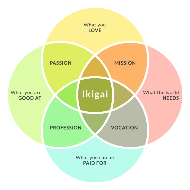Ikigai Visualization